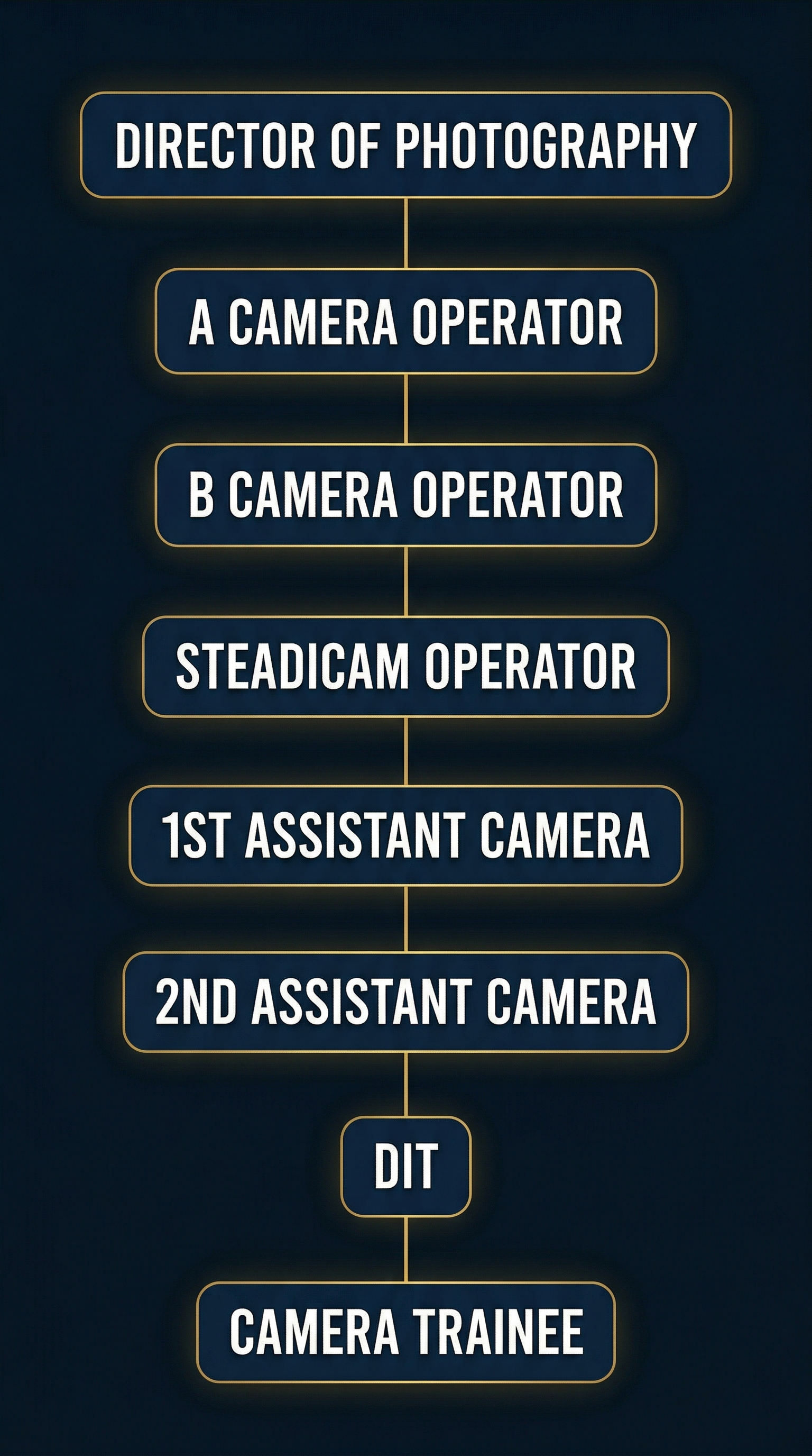Camera department end credits hierarchy diagram showing order from Director of Photography through Camera Trainee, with gold borders on dark navy background