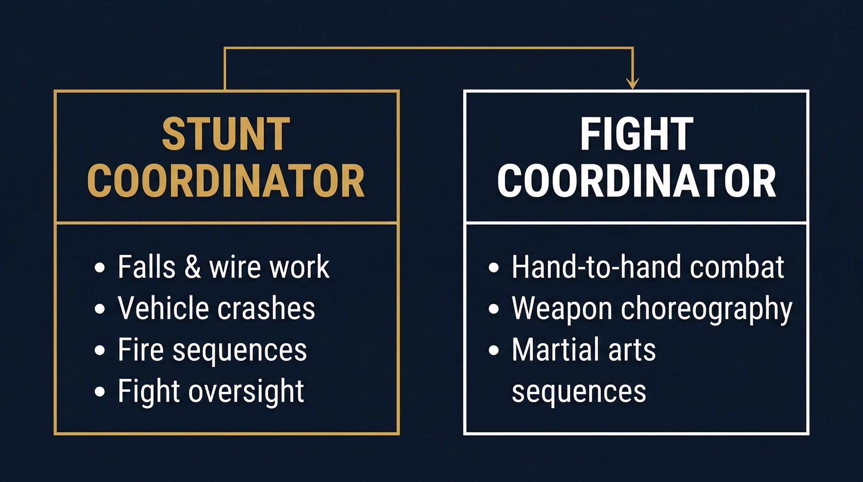 Comparison diagram showing Stunt Coordinator scope versus Fight Coordinator scope with gold and white columns on dark background