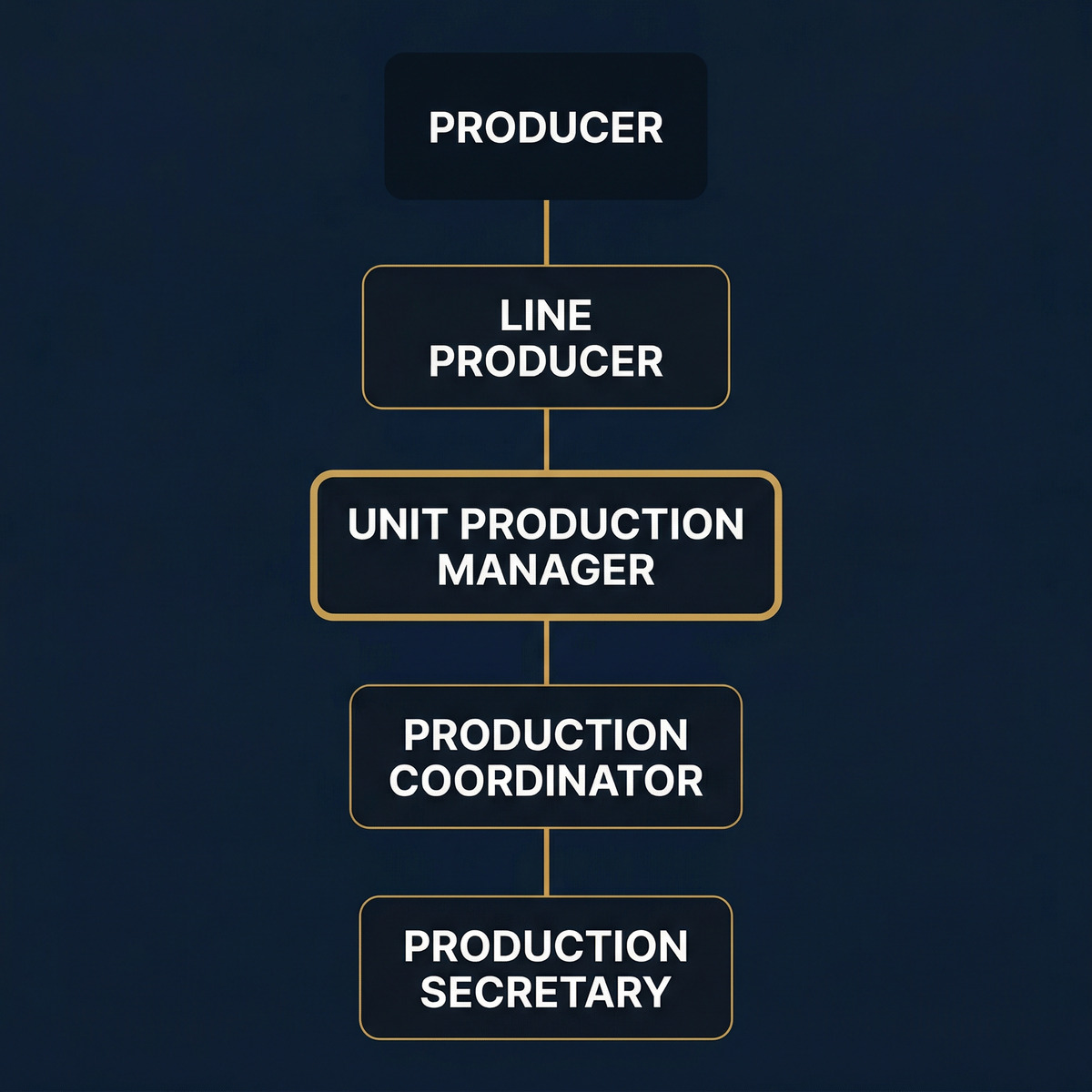 Production management hierarchy diagram: Producer → Line Producer → Unit Production Manager → Production Coordinator → Production Secretary